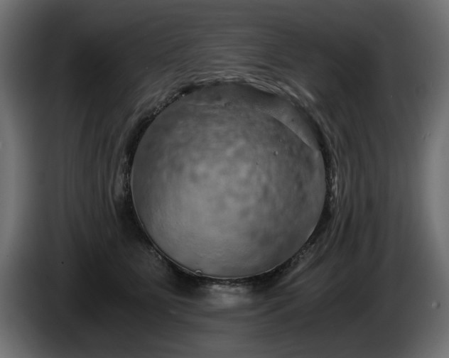 X0000084530515200703021424