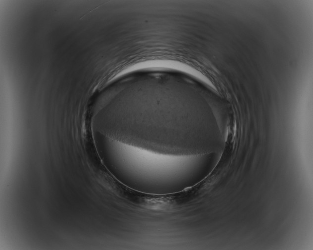 X0000084530516200703021424