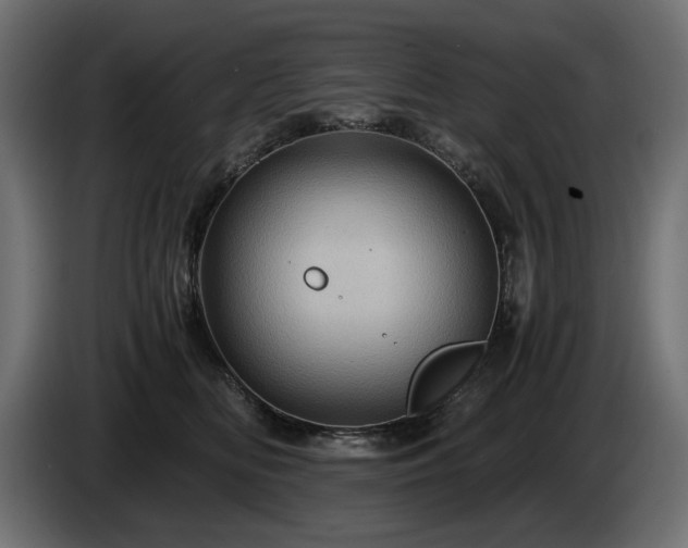 X0000084530518200703021424