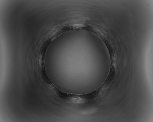 X0000084530519200703021424