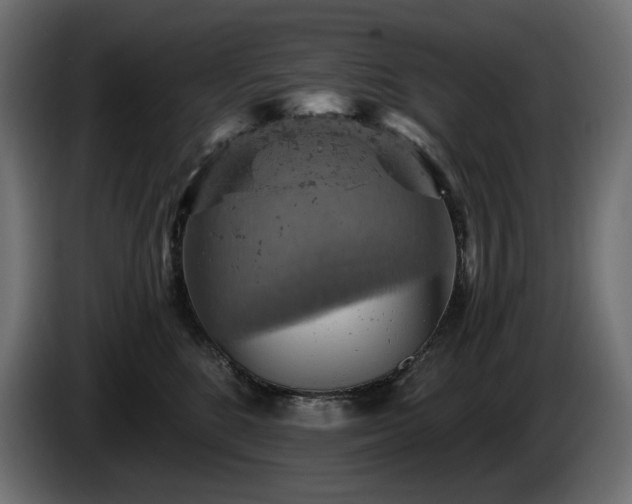 X0000084530520200703021424