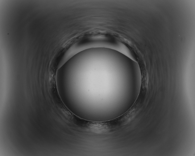 X0000084530521200703021424