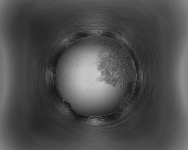 X0000084530522200703021424