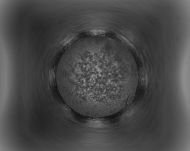 X0000084530523200703021424