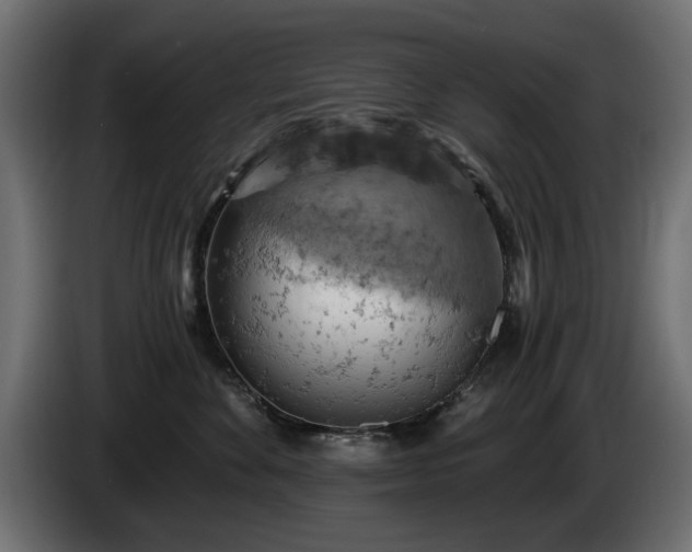 X0000084530524200703021424