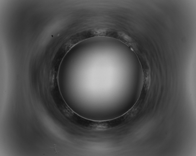 X0000084530525200703021424