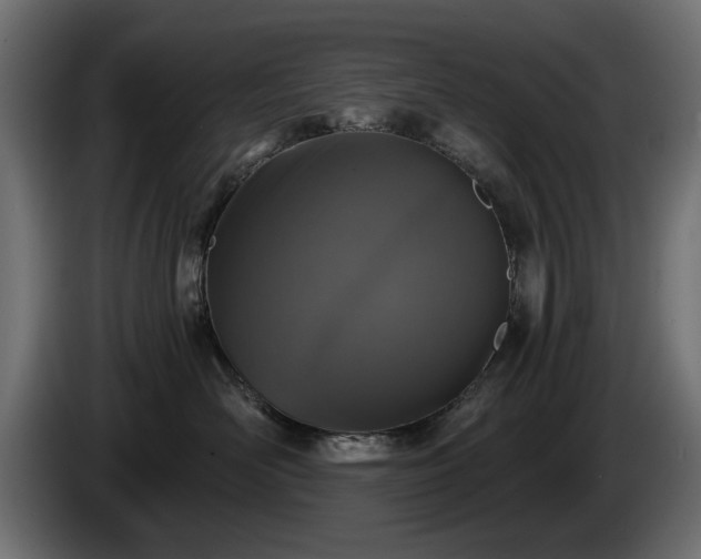 X0000084530526200703021424