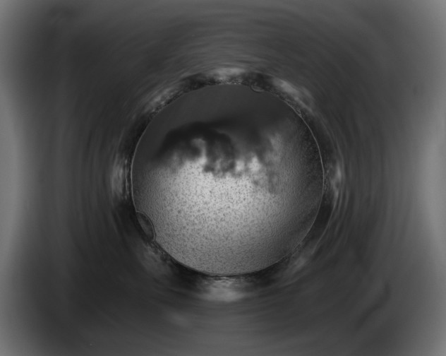 X0000084530527200703021424