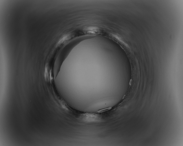 X0000084530528200703021424
