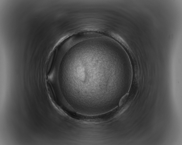 X0000084530530200703021423