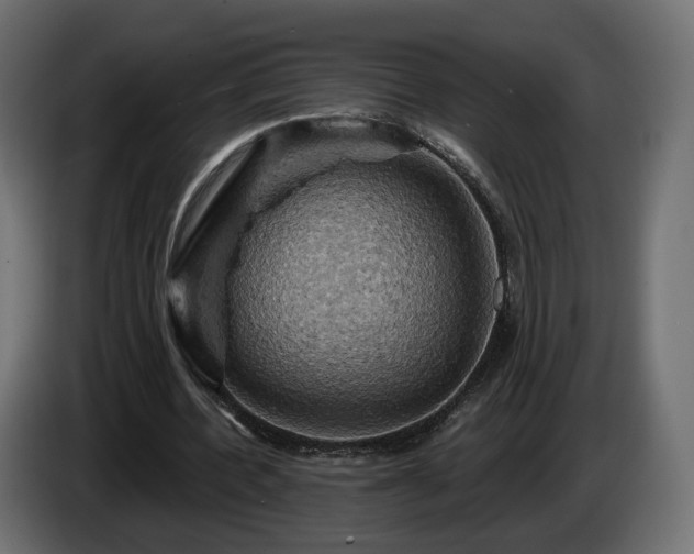 X0000084530532200703021423