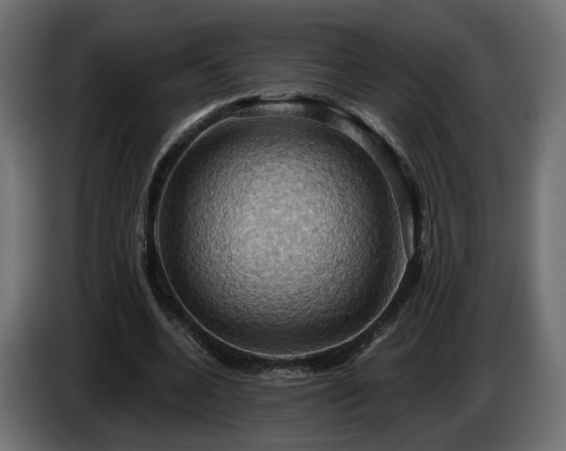 X0000084530536200703021423