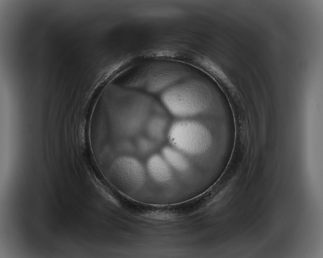 X0000084530537200703021423