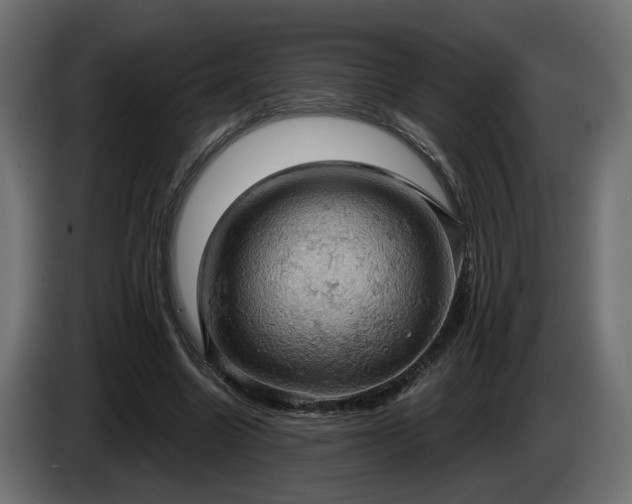 X0000084530538200703021423