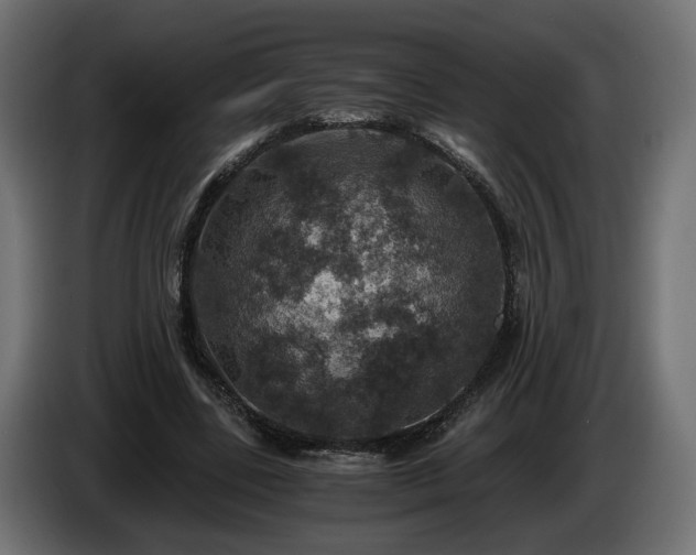 X0000084530539200703021423