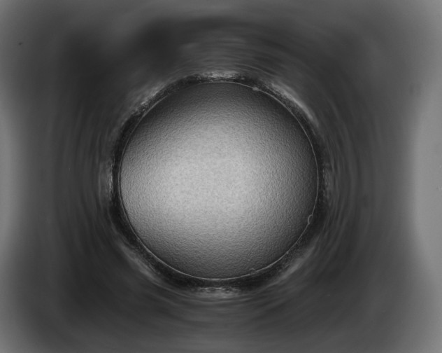X0000084530541200703021423