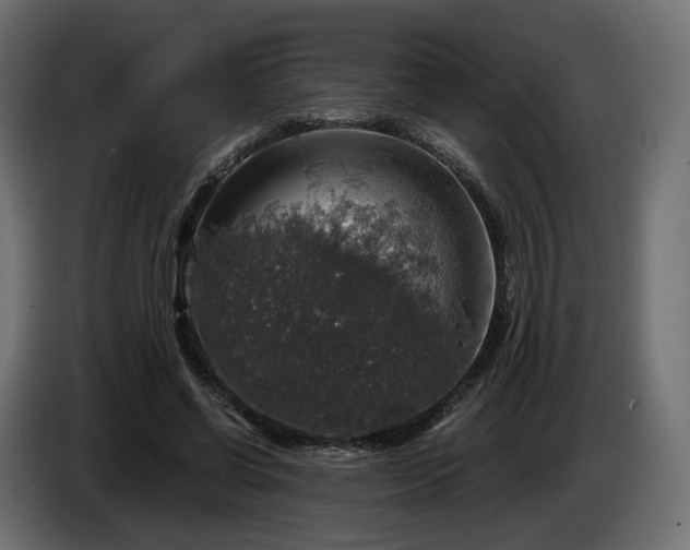 X0000084530542200703021423