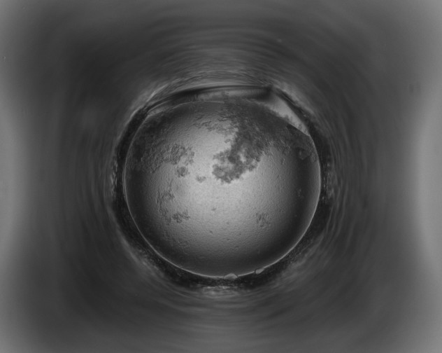 X0000084530544200703021423