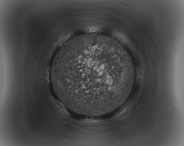 X0000084530545200703021423