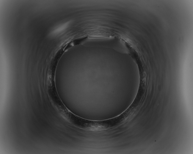 X0000084530547200703021423