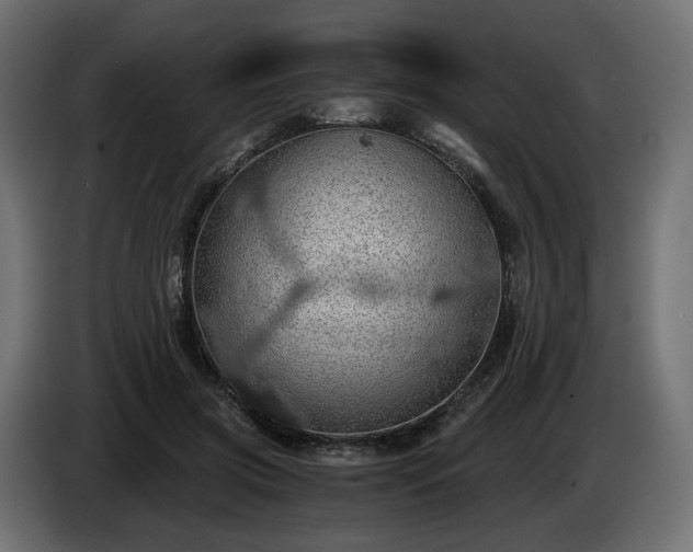 X0000084530549200703021423