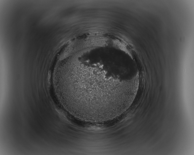 X0000084530550200703021423