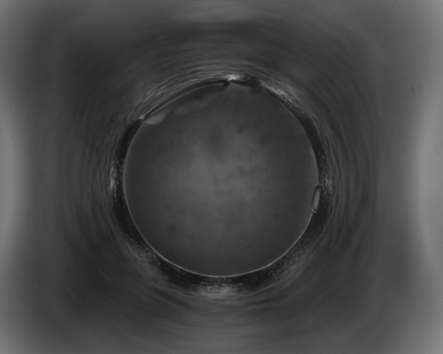 X0000084530551200703021423