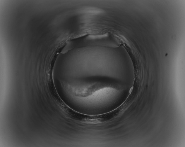 X0000084530553200703021423