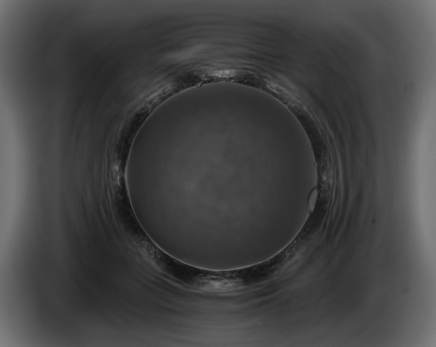 X0000084530555200703021423