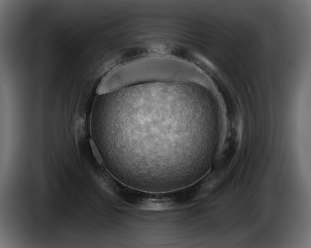 X0000084530556200703021423