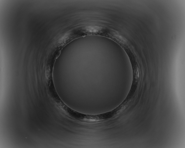 X0000084530559200703021423