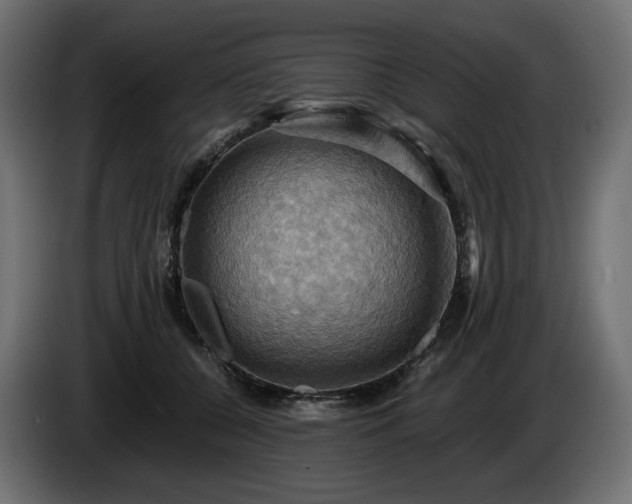 X0000084530560200703021423
