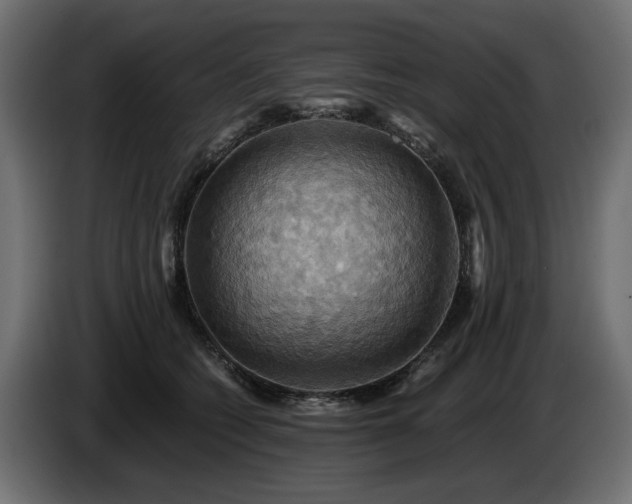 X0000084530562200703021423