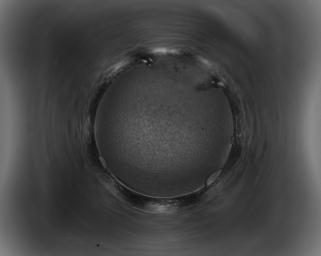 X0000084530563200703021423