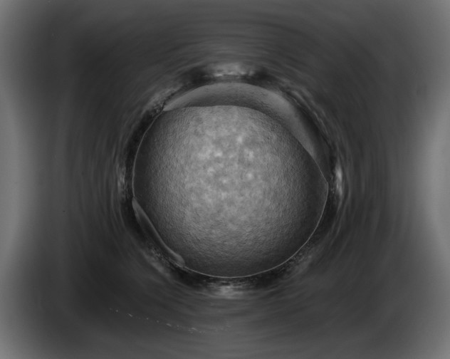 X0000084530564200703021423