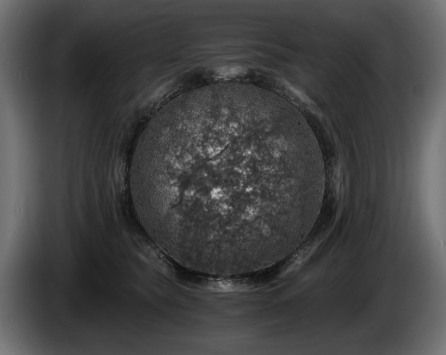 X0000084530565200703021423