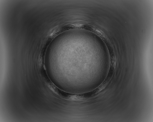 X0000084530568200703021423