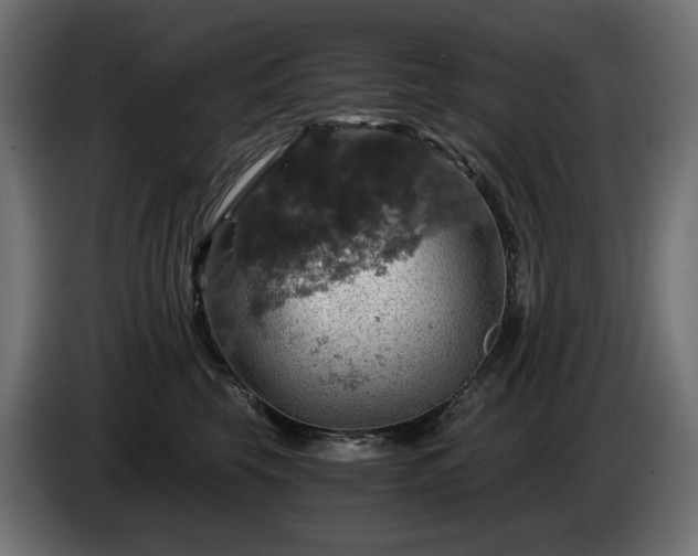 X0000084530569200703021423