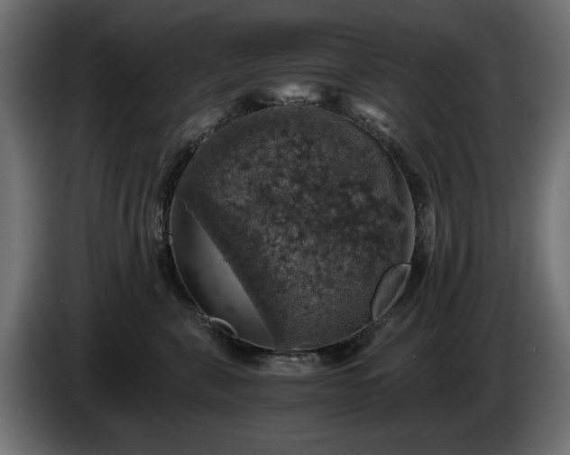 X0000084530571200703021423