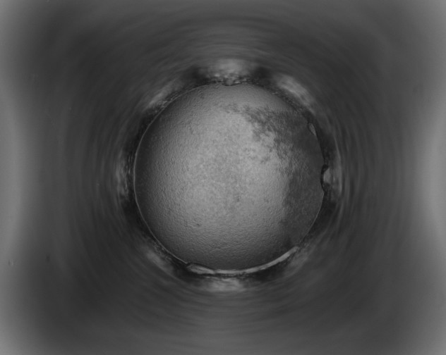 X0000084530572200703021423