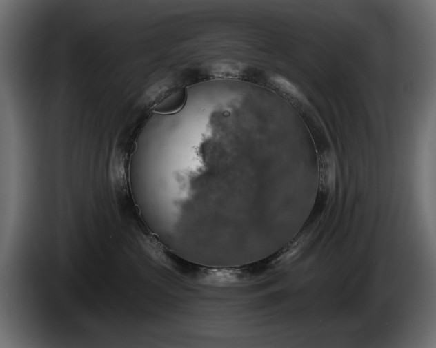 X0000084530573200703021424