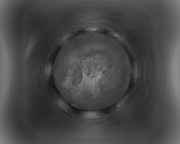 X0000084530574200703021424