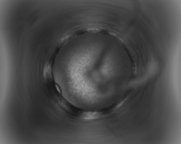 X0000084530575200703021424