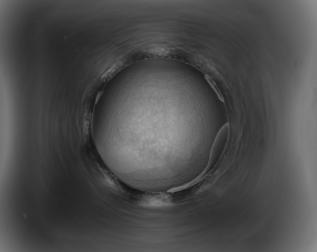 X0000084530576200703021424