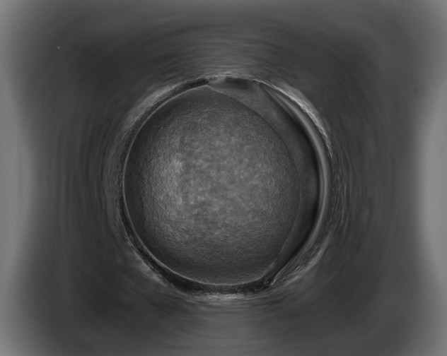 X0000084530577200703021423