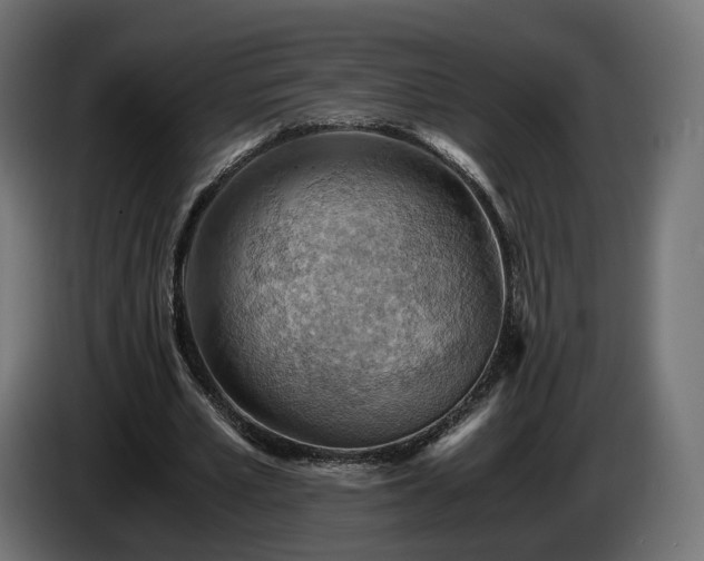 X0000084530581200703021423