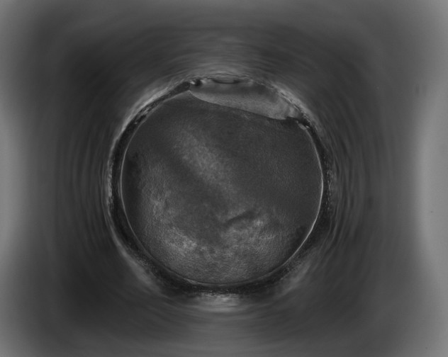 X0000084530582200703021423