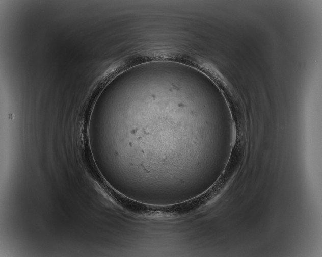 X0000084530585200703021423
