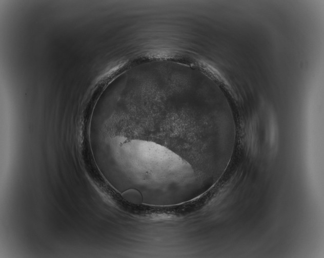 X0000084530586200703021423