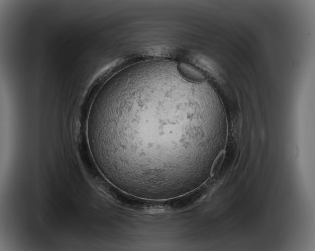 X0000084530587200703021423
